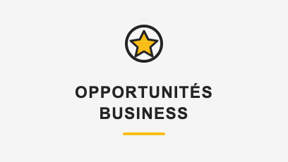 08_opportunites_business